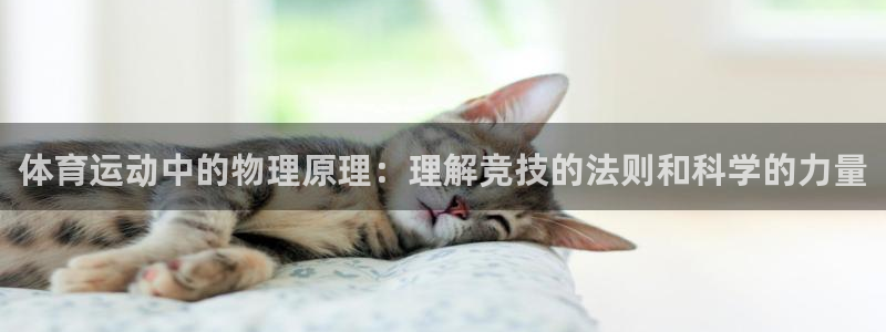 体育运动中的物理原理：理解竞技的法则和科学的力量