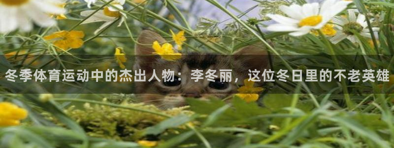 冬季体育运动中的杰出人物：李冬丽，这位冬日里的不老英雄