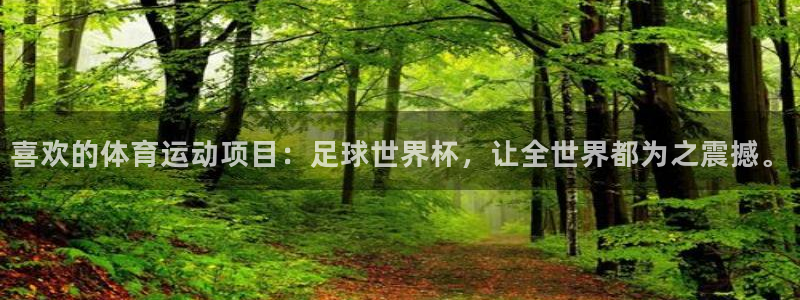 喜欢的体育运动项目：足球世界杯，让全世界都为之震撼。