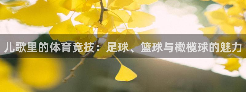 儿歌里的体育竞技：足球、篮球与橄榄球的魅力