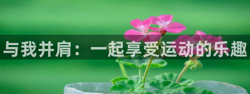 与我并肩：一起享受运动的乐趣
